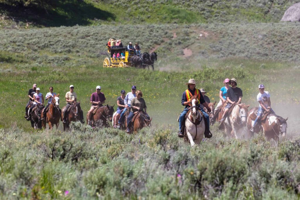 Horseback Riding Yellowstone