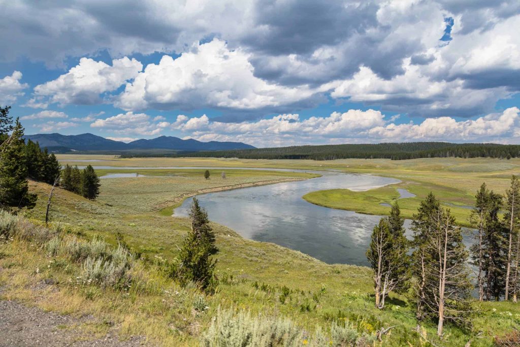 Yellowstone hayden valley