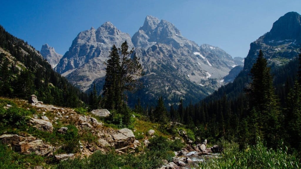 Cascade Canyon in midsummer with meadow wildflowers and towering granite walls