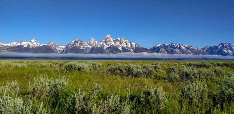 Medows in front of Grand Teton National Park