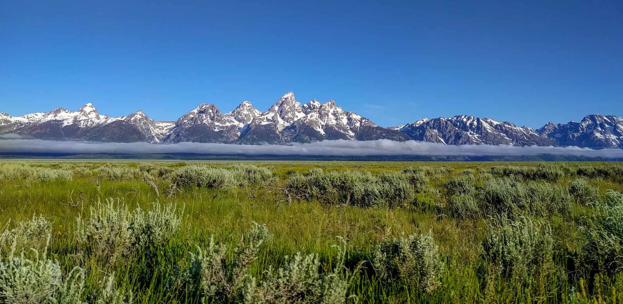 Medows in front of Grand Teton National Park