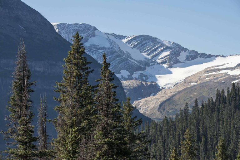 Jackson glacier overlook in Glacier National Park