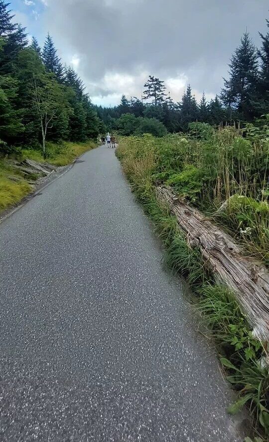 Looking down the Steep Half Mile Trail