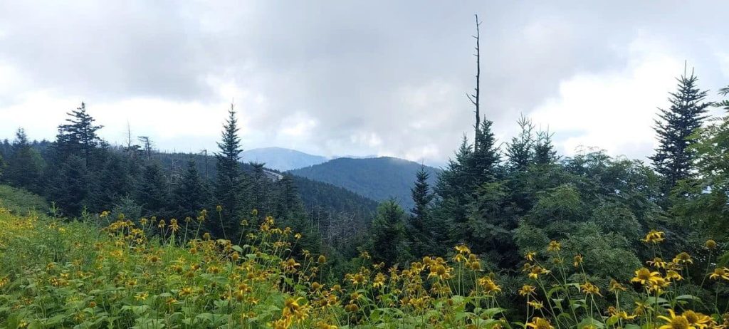Great Smoky Mountains National Park