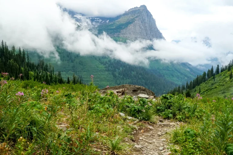 Glacier National Park Montana wilderness