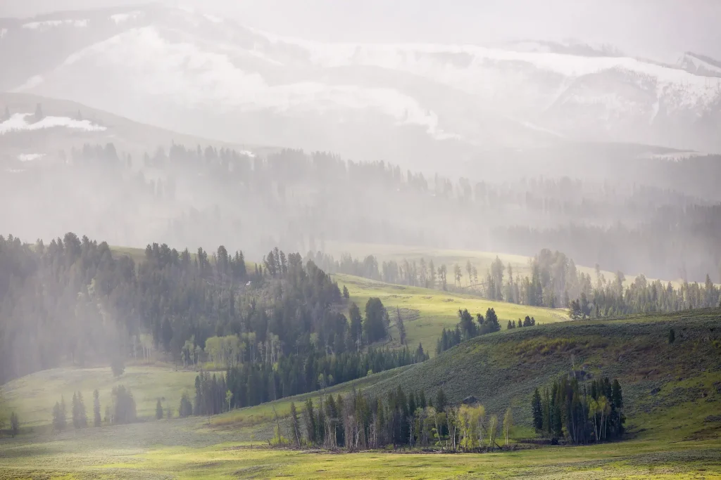 Lamar Valley in Yosemite National Park best national parks