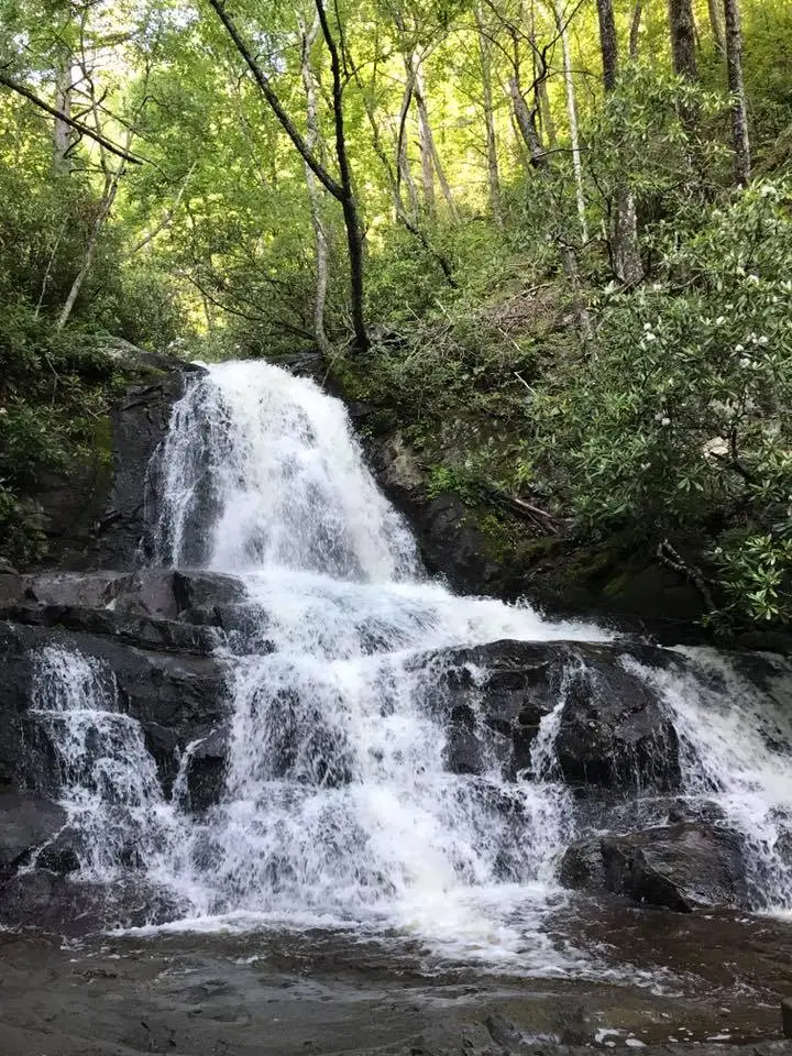 Laurel Falls In Great Smoky Mountain National Park