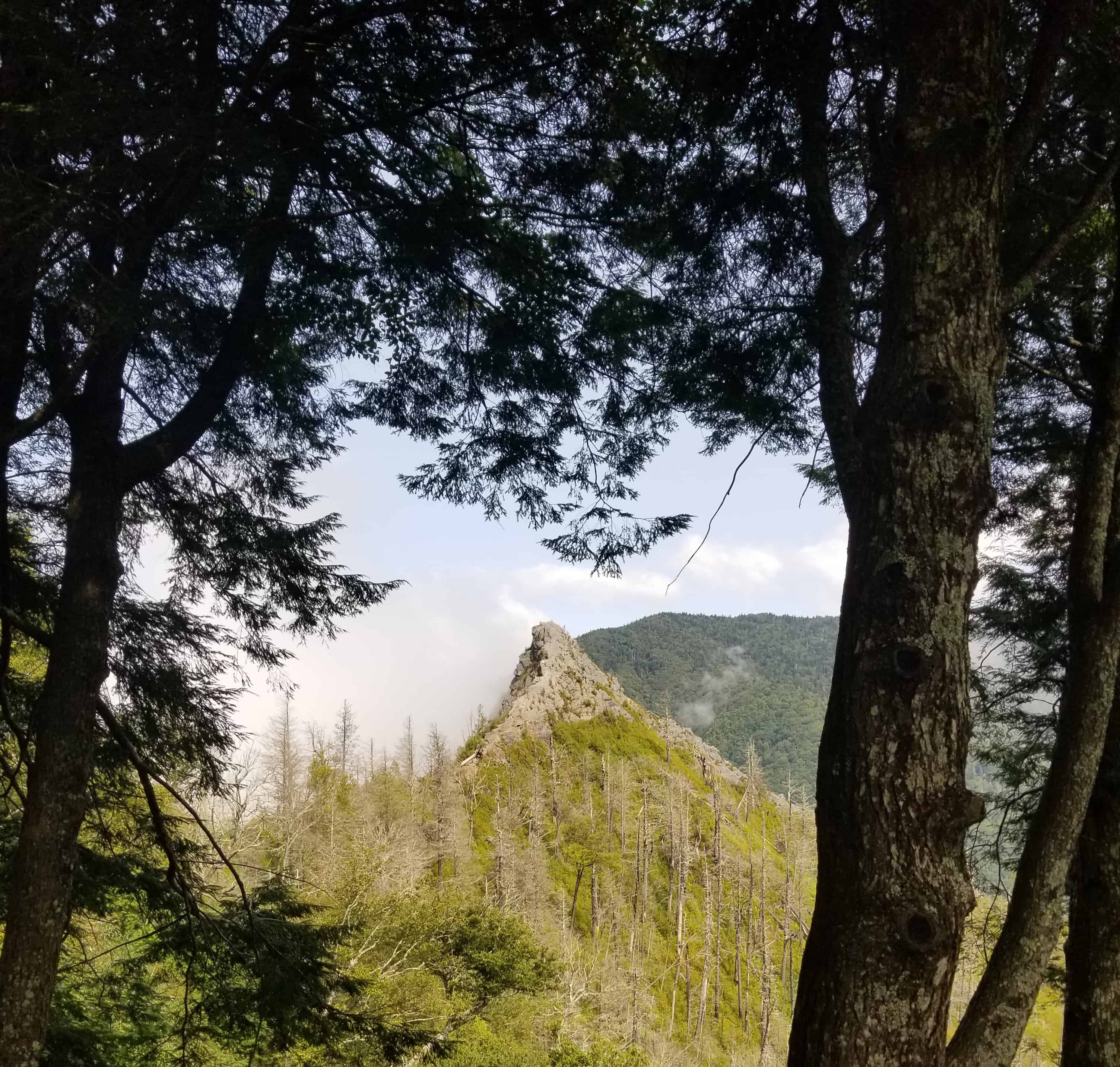 Chimney Top Peak In Great Smoky Mountain National Park