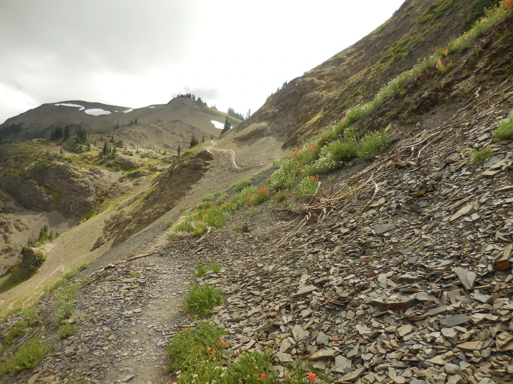 Hurricane Hill Trail overlook with Mount Olympus and alpine meadow as seen from Hurricane Hill Trail