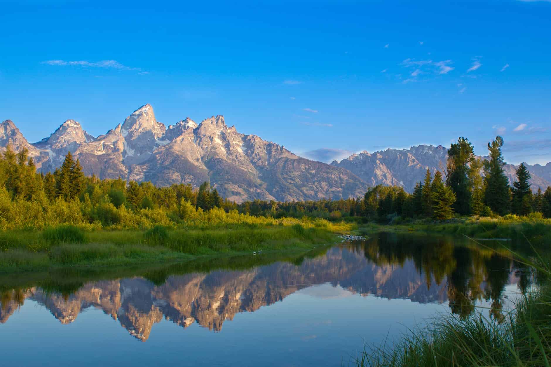 Mountains and conifer forest reflecting in an alpine lake in Glacier National Park, wolverine backcountry habitat