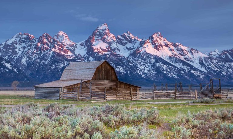 Mormon row sunrise grand teton