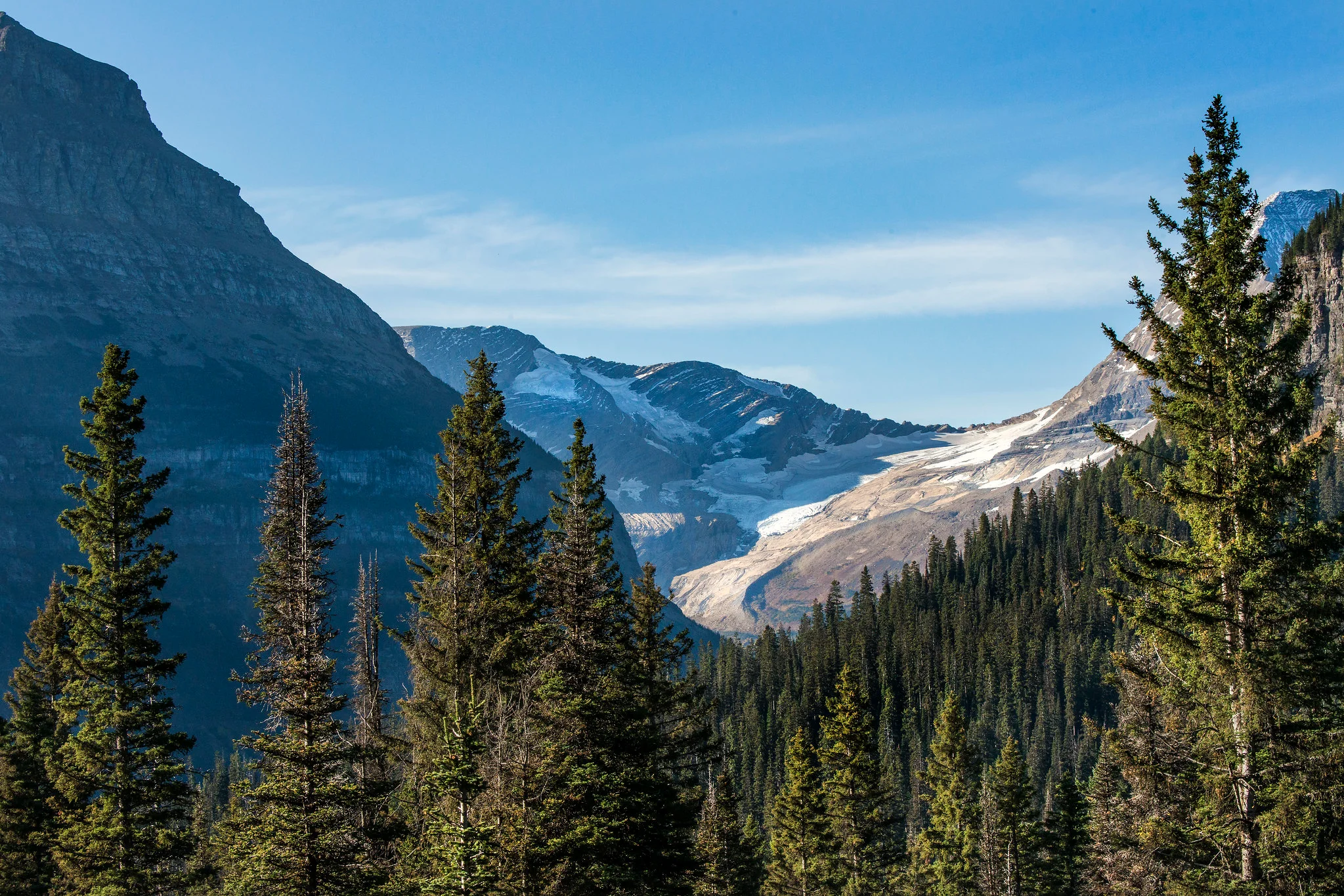 Snow-covered Jackson Glacier viewed from an overlook in Glacier National Park