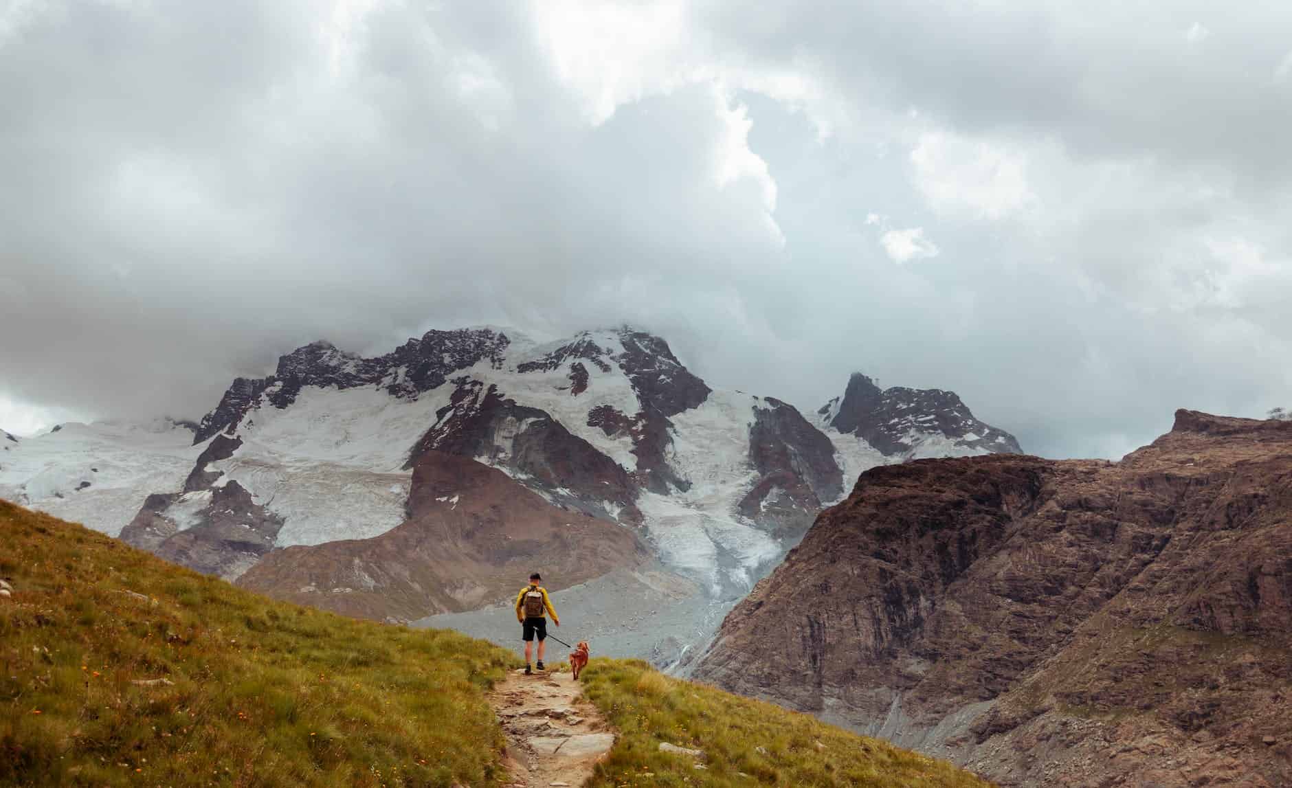 Hiker with dog walking along a forested mountain trail in the Glacier National Park region of Montana