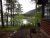 Lake Blaine shoreline with pines, a wooden cabin, and a dock at Glacier National Park.