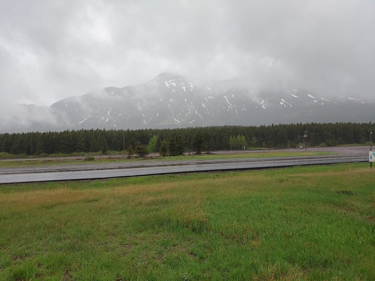 Summit Mountain rises above evergreen forest in Glacier National Park on a misty, rainy day overlooking a roadside meadow.