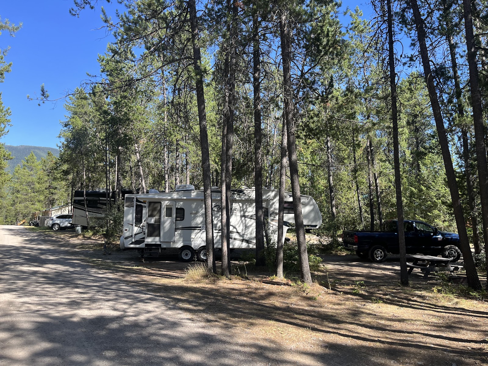 Sundance Campground in Glacier National Park shows RVs parked among tall pines on a sunny, clear day.