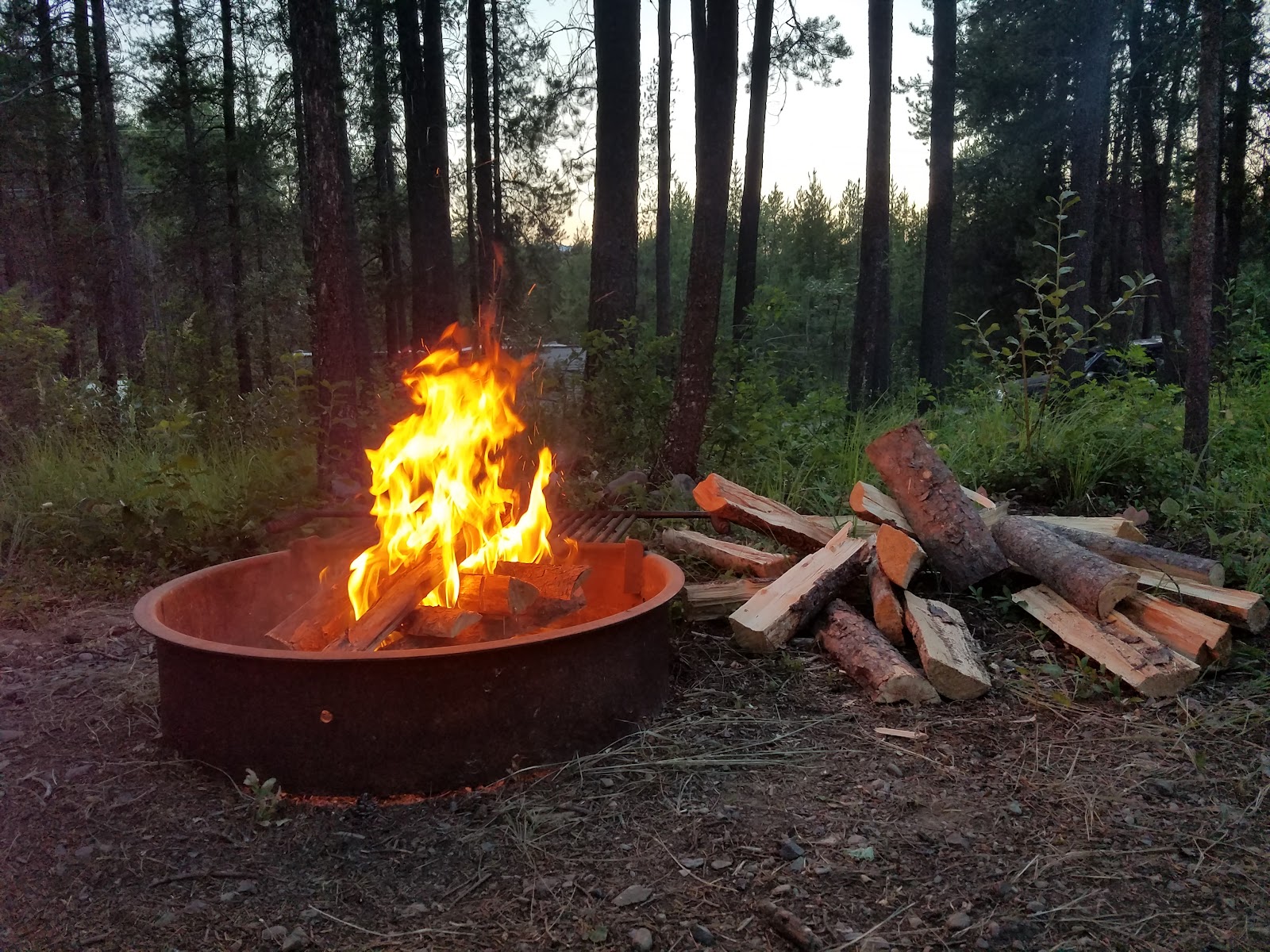 Campfire ring with stacked logs at Sundance Campground in Glacier National Park.