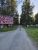 Gravel road leading into Sundance Campground in Glacier National Park