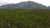 Aerial view over dense evergreen forest with a rugged mountain range in Glacier National Park.