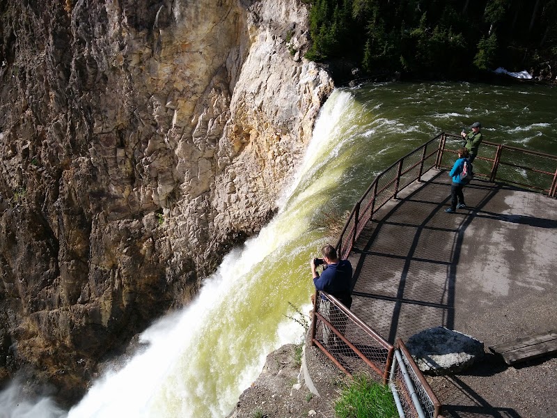 Brink of Lower Falls viewing platform in Yellowstone National Park with hikers photographing the green river plunging below.