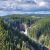 Brink of Lower Falls overlook in Yellowstone National Park, a dramatic canyon scene with pine forest and a waterfall.