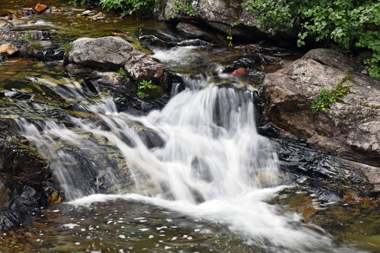 Hidden Falls cascades over dark rocks with green moss and foam-filled pool in Glacier National Park.