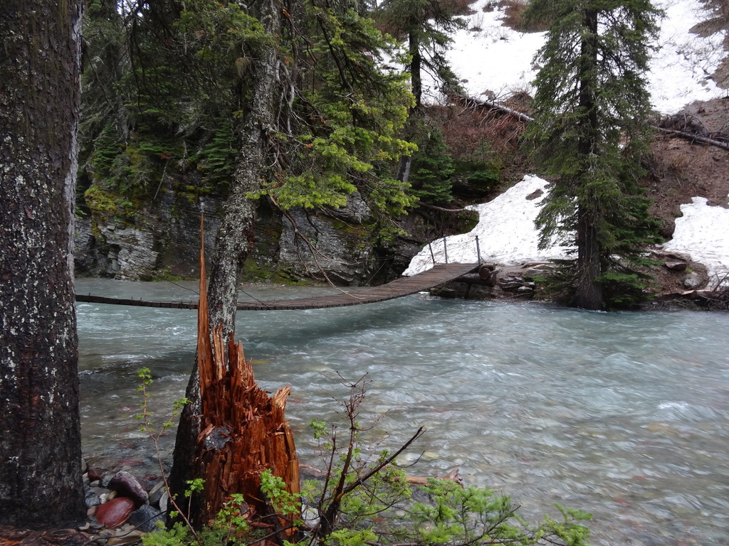 Glacier National Park: a pale blue river flows beneath a weathered wooden suspension bridge among evergreen trees and snow patches.