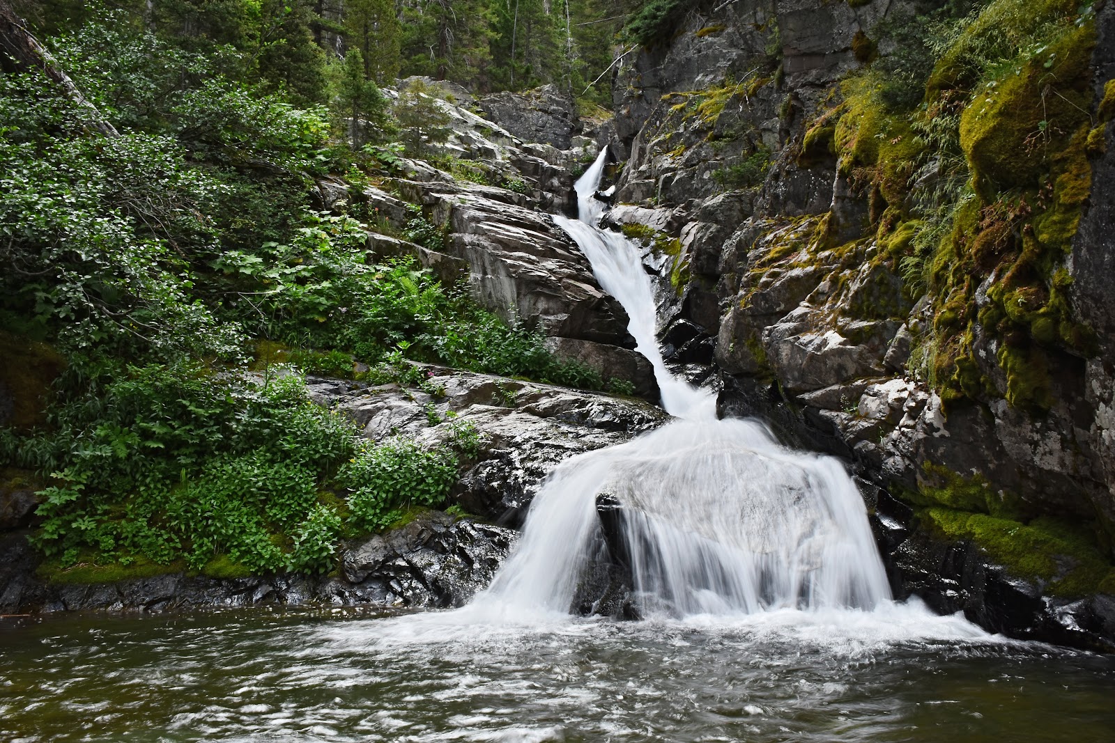 Lush mossy rocks and green foliage frame a two-tier waterfall spilling into a calm pool at Hidden Falls, Glacier National Park.