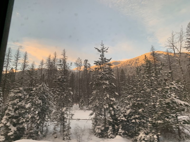 Snowy evergreen trees in a Glacier National Park valley with sunlit mountains in the distance at sunset.