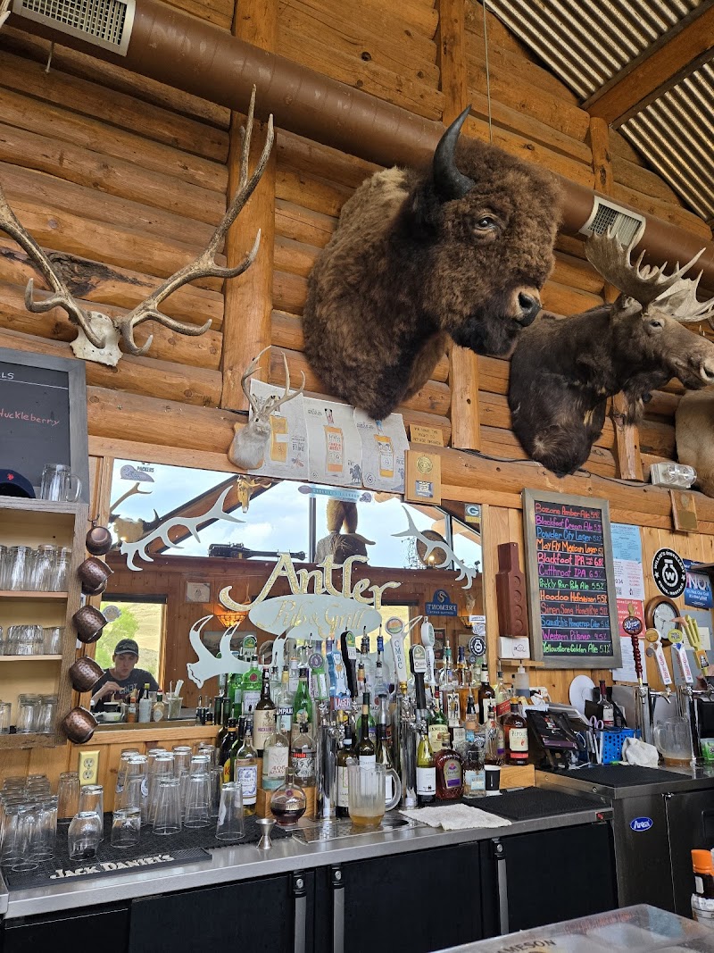 Rustic bar interior in Yellowstone National Park with mounted bison head and large antlers behind a bottle-filled counter.