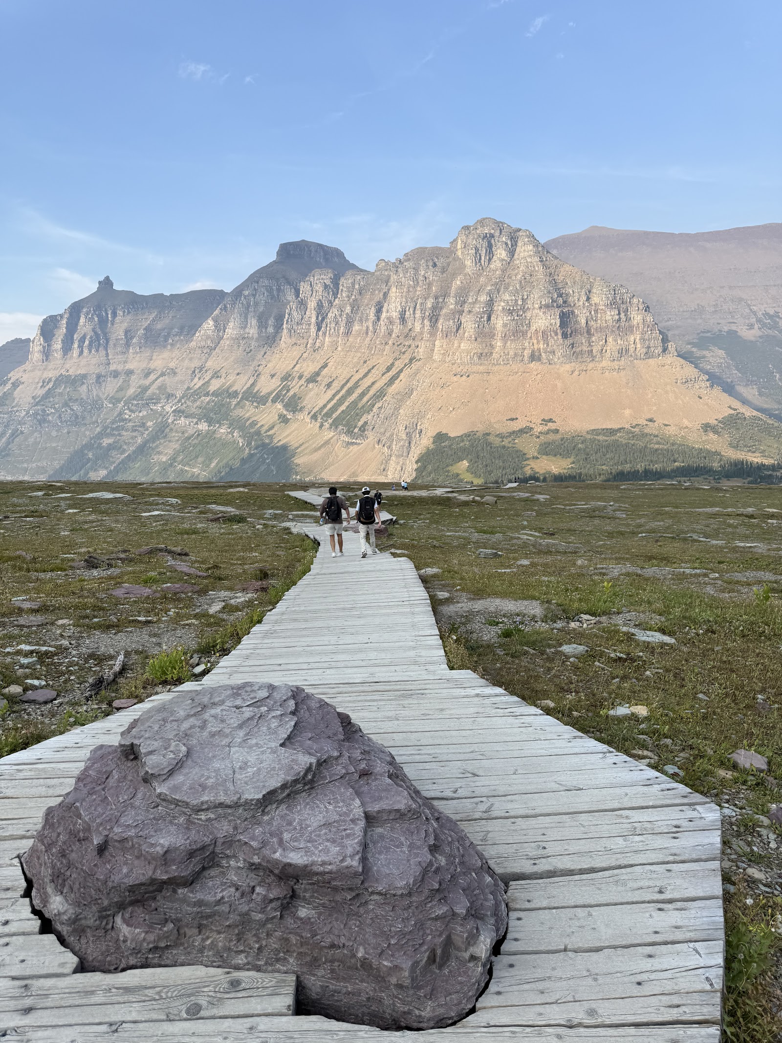 Boardwalk through alpine wildflower meadow at Logan Pass in Glacier National Park