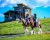 Clydesdale Outpost Guest Ranch in Glacier National Park, two riders on horseback beside a rustic lodge on a sunny hillside.