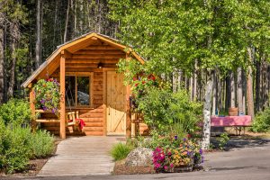 Cozy log cabin with hanging flowers, a wooden porch swing, and flowering planters beside pine trees in Glacier National Park.