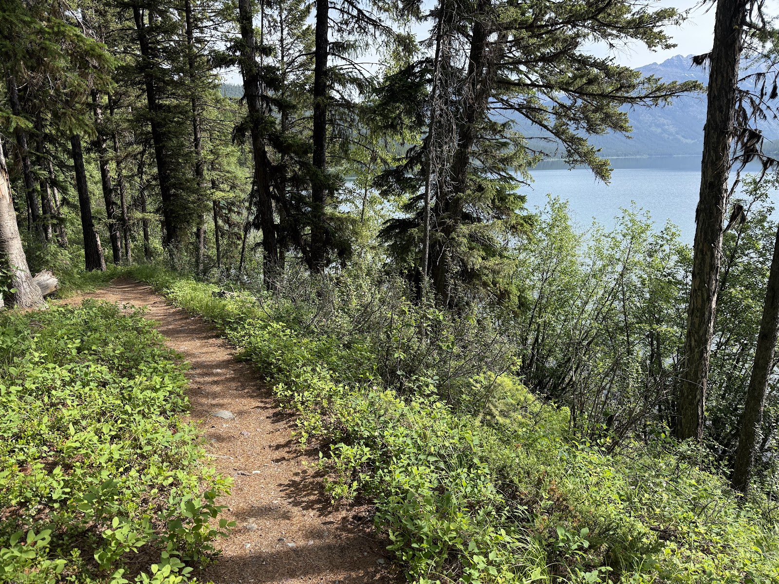 Customers browsing nature guides and local souvenirs