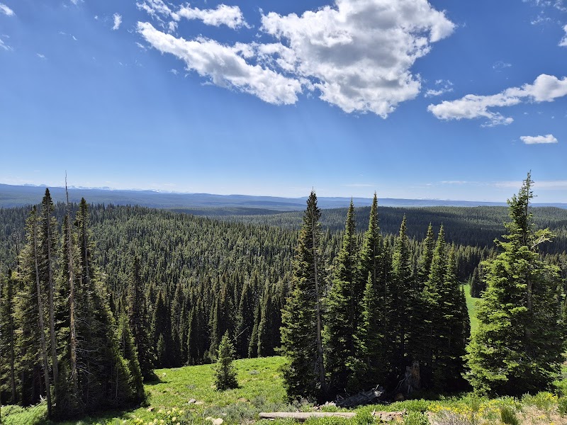 Washburn Hot Springs Overlook