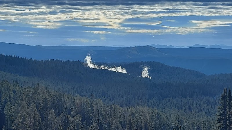 Forested Yellowstone National Park ridge with white steam plumes rising from geothermal vents, distant blue mountains under a cloudy sky.