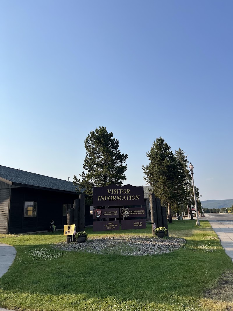 Sunlit visitor information sign for Yellowstone National Park beside a dark wooden building, with tall pines and a paved sidewalk.