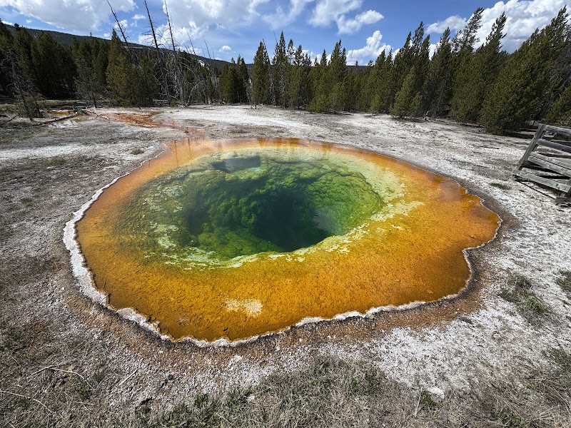 Vibrant orange-rimmed hot spring with emerald-green pool in Yellowstone National Park landscape, pine trees in the background.