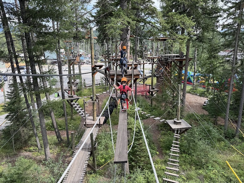 Treetop ropes course at Glacier Highline adventure park amid pines in Glacier National Park.