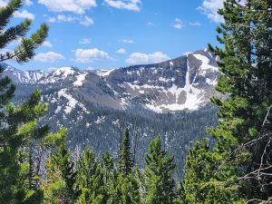 Rugged trailhead entrance with a wooden sign and forest backdrop