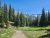 Yellowstone National Park: a dirt trail winds through a pine forest with green meadow and distant snow-capped mountains under a clear blue sky.
