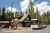 Brown lodge-style office with a Welcome sign, a large tour bus beside it, and parked cars among pines at Glacier National Park.