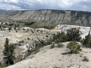 Fort Yellowstone Overlook in Yellowstone National Park offers sweeping views of eroded mesas, sparse pines, and distant ridges.