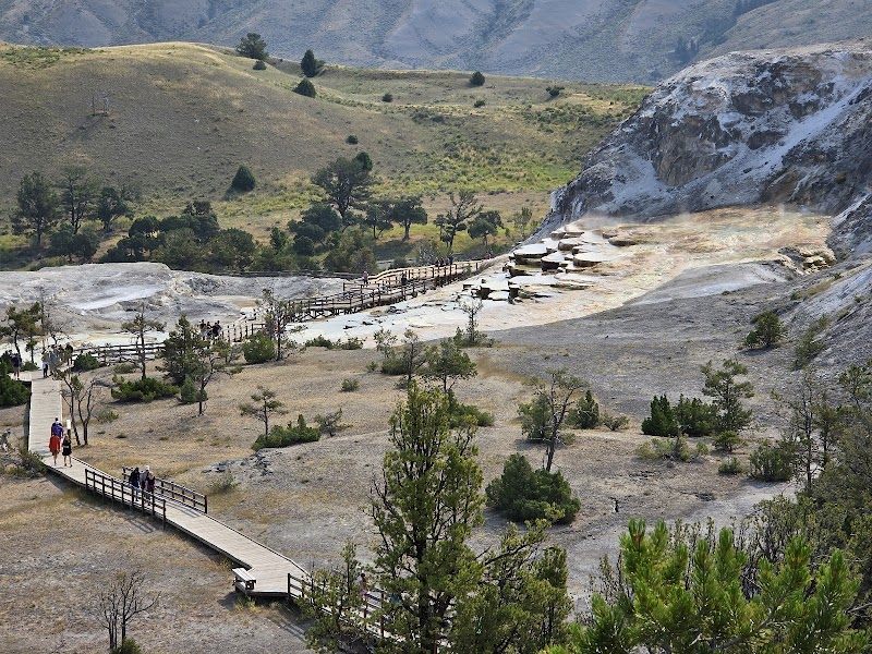 Wooden boardwalks wind past gray travertine terraces with scattered pines and hikers, framed by distant green hills in Yellowstone National Park.