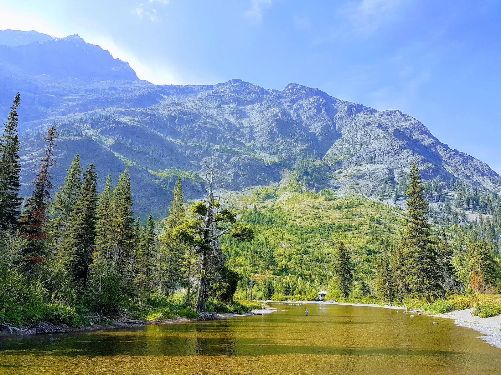 Glacier National Park scene featuring a sandy riverbank, evergreen trees, and rugged mountain peaks towering above.