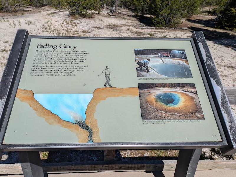 Informational sign about Morning Glory Pool at Yellowstone National Park, with an illustrated map, diagrams, and two photos.