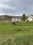 Elk graze on the Fort Yellowstone Visitor Center lawn in Yellowstone National Park.