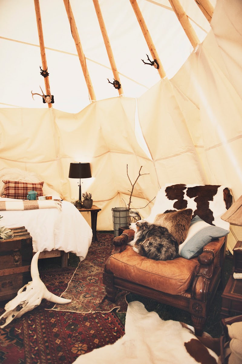 Cozy Yellowstone National Park tipi interior with poles, cowhide chair, rug, lamp, and a dog resting on leather seating.