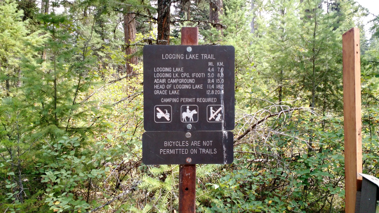 Forest understory with a brown trail sign in Glacier National Park showing Logging Lake Trail info and camping rules.