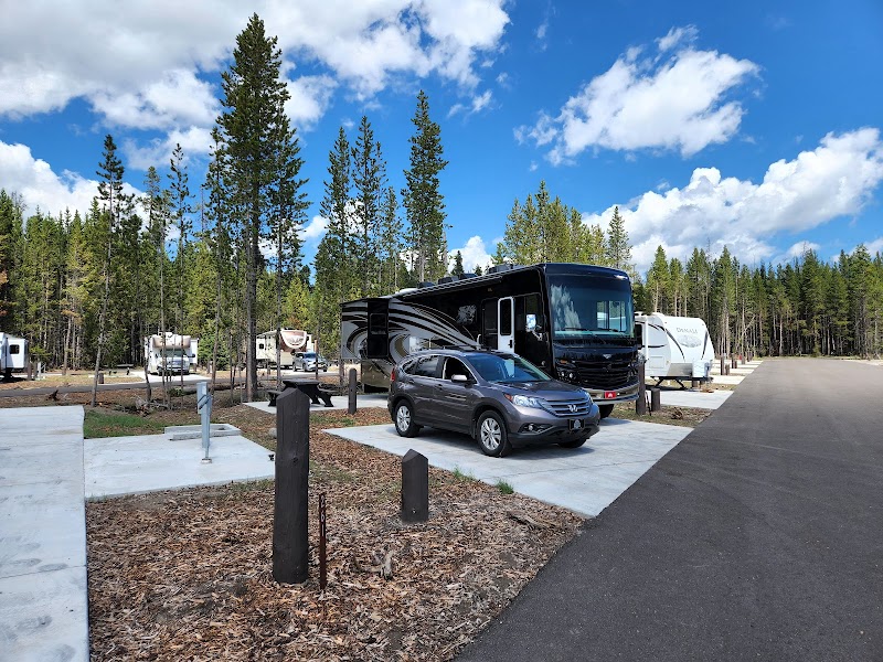 Tall pines surround a Yellowstone National Park campground with a large black motorhome and a gray SUV on paved pads.